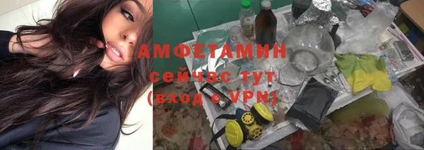 прущие крисы Алексеевка