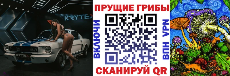 Псилоцибиновые грибы MAGIC MUSHROOMS  цена наркотик  мега зеркало  Димитровград 