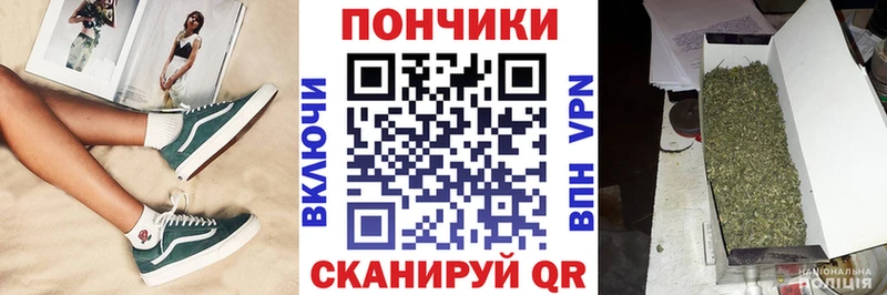 Шишки марихуана семена  Димитровград 